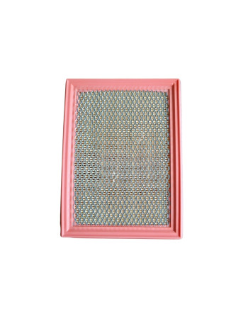 Filtron Filter AP154 Hava Filtresi