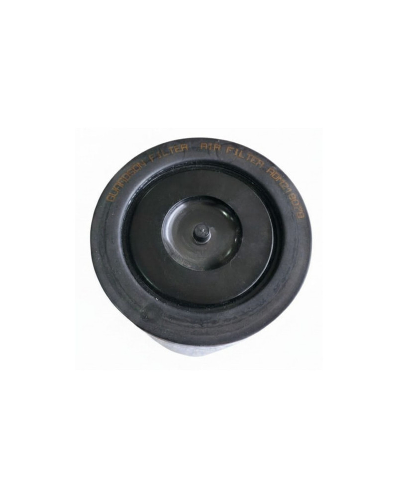 Guardson Filter ADM218078 İç Hava Filtresi