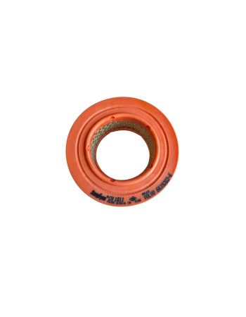 Şampiyon Filter CH1011 Hava Filtresi