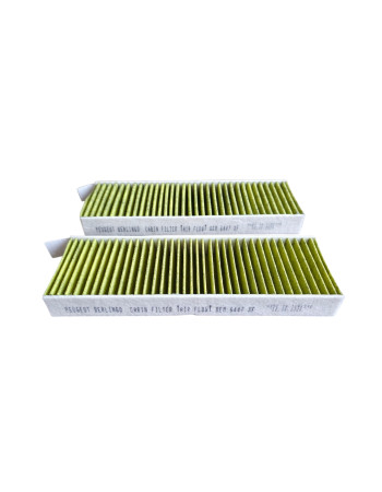 Guardson Filter A2129003-2 Aktif Karbonlu Polen Filtresi 10 Adet ve Üzeri