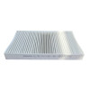 Guardson Filter A217310CU Polen Filtresi